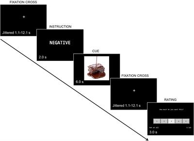 Self-regulation training generalizability using the regulation of craving task. An fMRI study